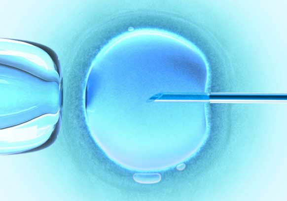 The ratio of specific fatty acid combinations could boost the success of in vitro fertilization.